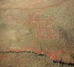 Karijini Eco Retreat, Karijini Nationalpark